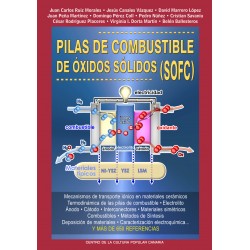 PILAS DE COMBUSTIBLE DE...