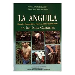 LA ANGUILA, Estudio...